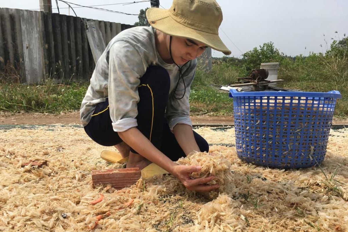 Thu gom vỏ tôm