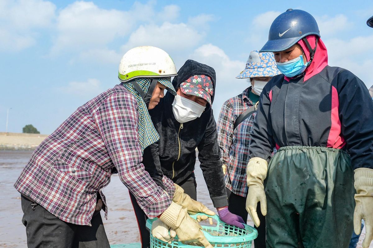 Nhu cầu hải sản tăng cao ngày tết