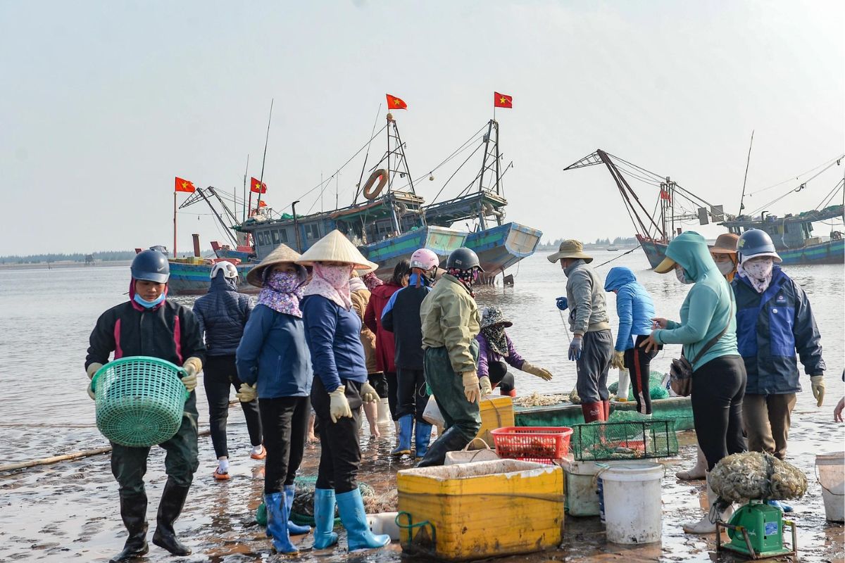 Ngư dân ra khơi đánh bắt đầu năm