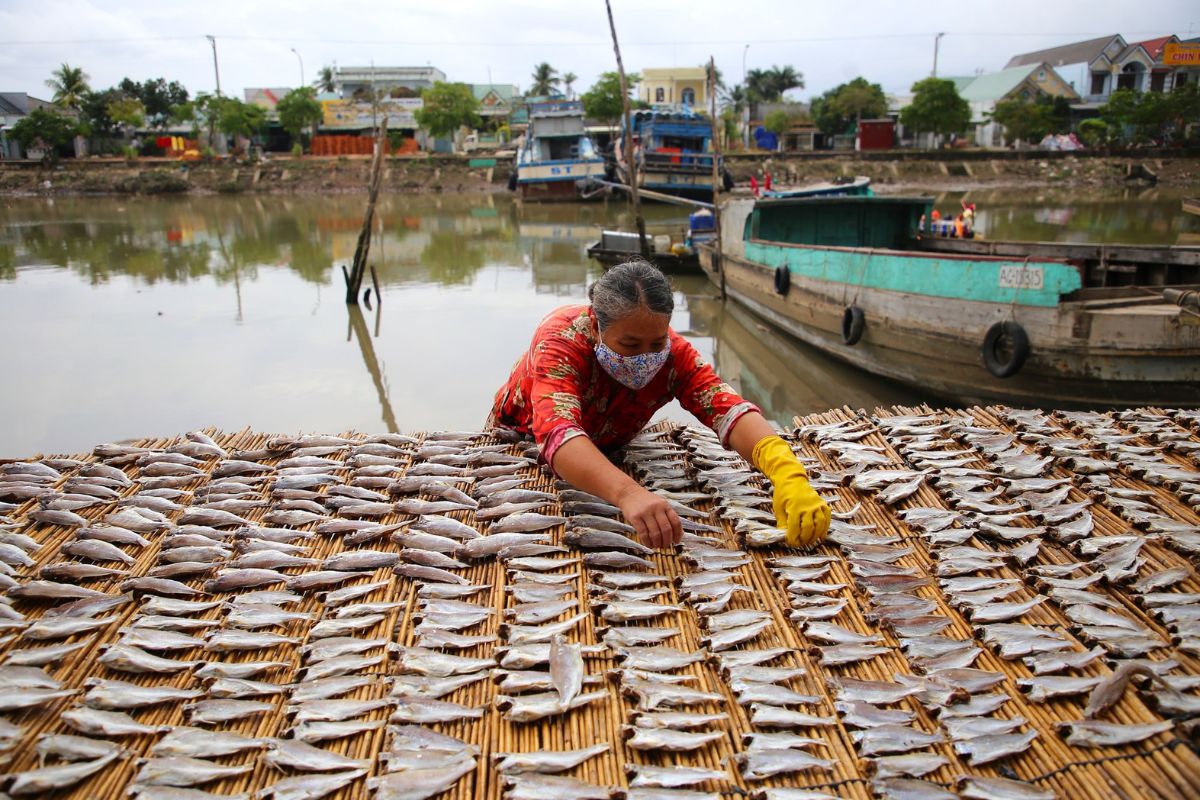 Phơi khô