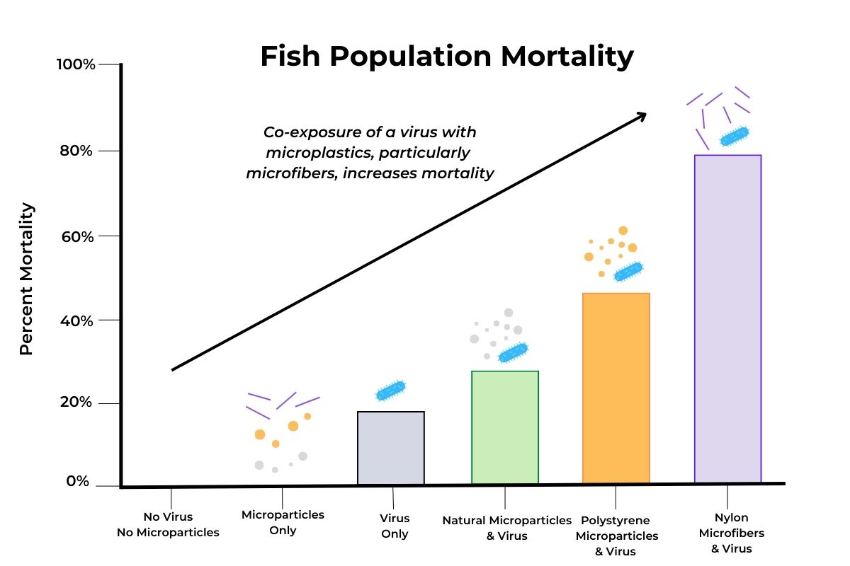 Tỷ lệ tử vong của quần thể cá
