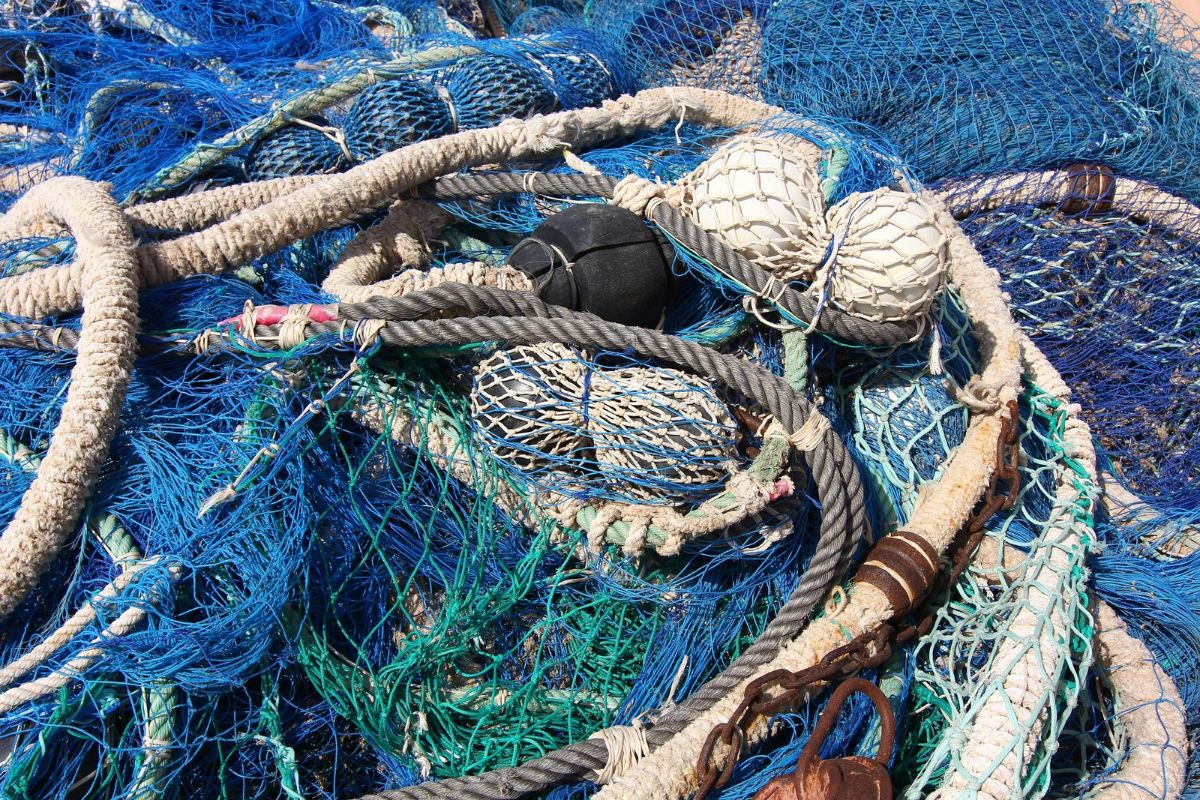 Ngư cụ và lưới cá