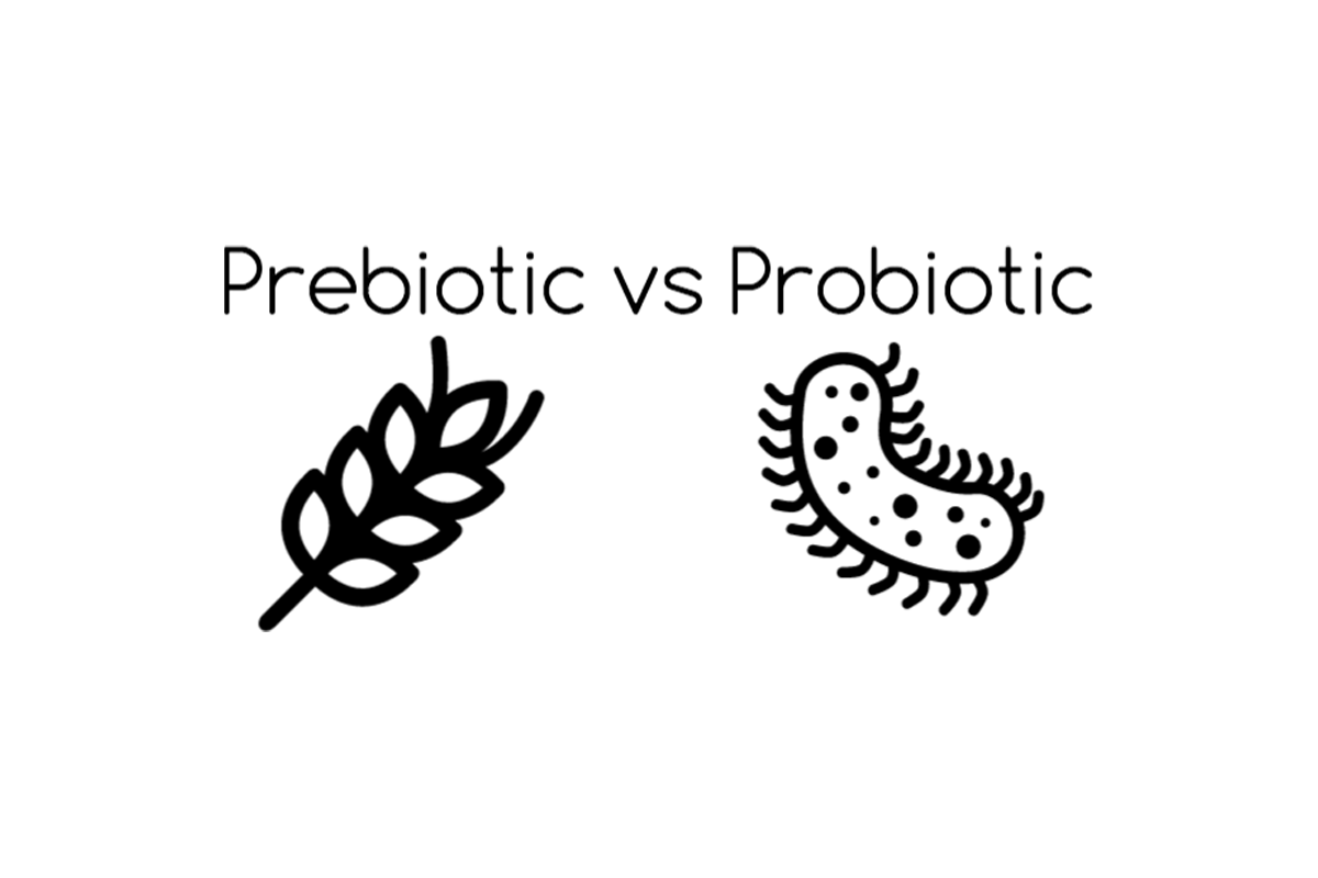 Probiotic