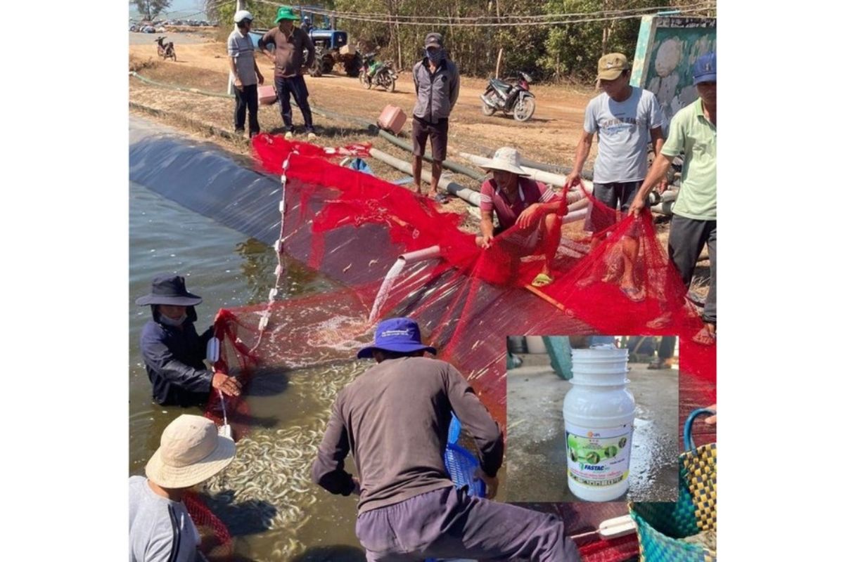 Hiện trường vụ án