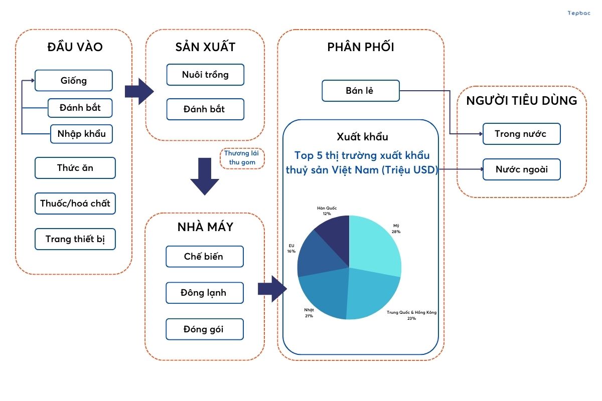 Chuỗi giá trị ngành thủy sản 