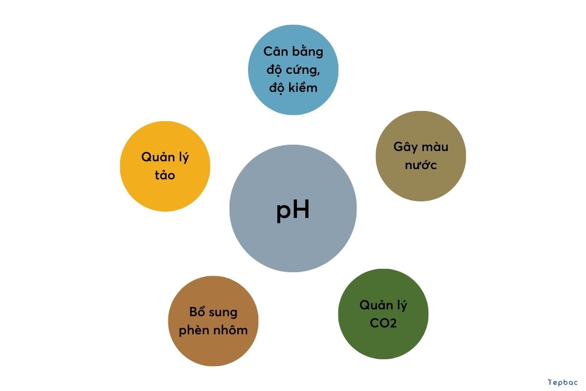 Độ pH