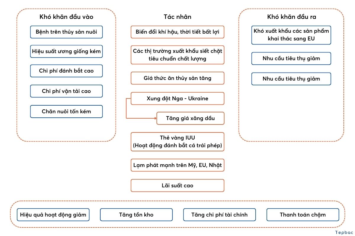 Khó khăn ngành thủy sản