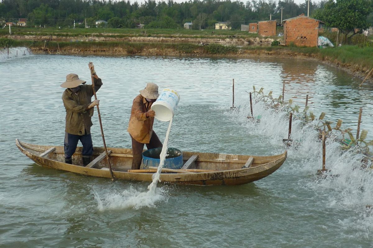 Bổ sung khoáng chất