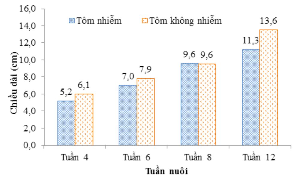 Tỷ lệ nhiễm bệnh