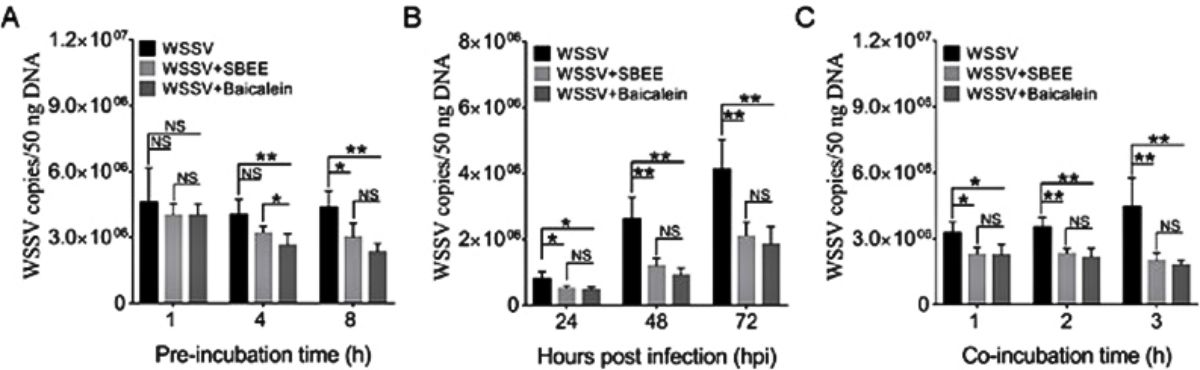 Đặc tính chống virus