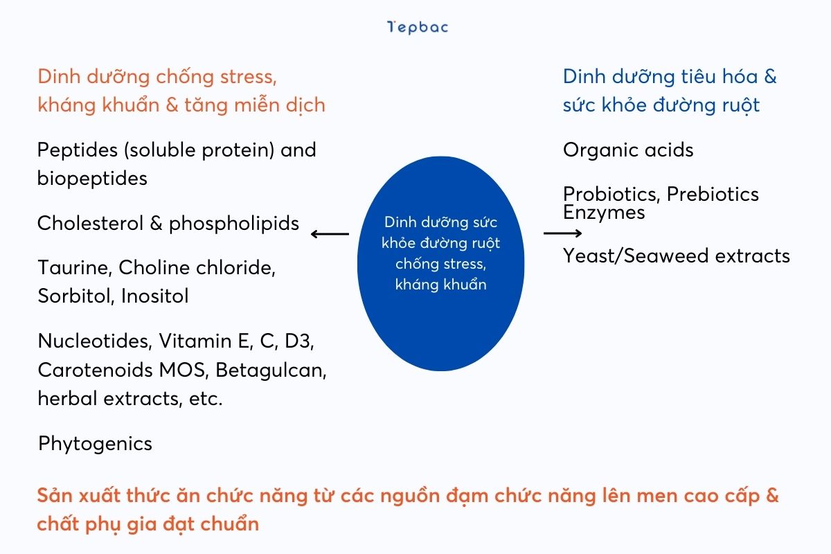 Dinh dưỡng sức khỏe tôm 