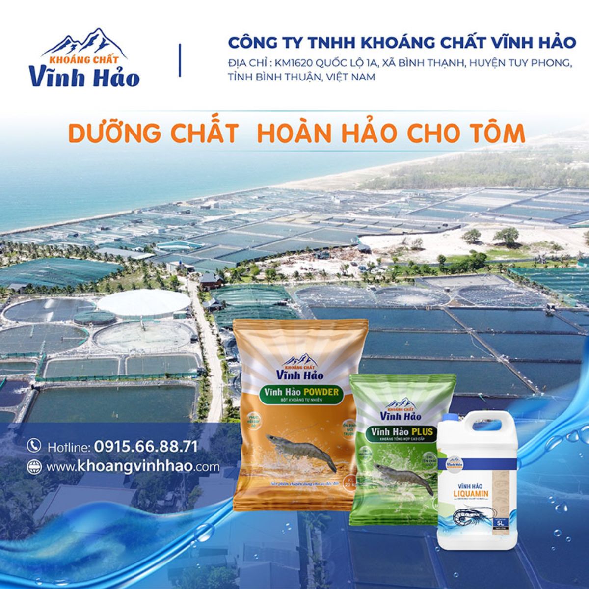 Dưỡng chất hoàn hảo của tôm