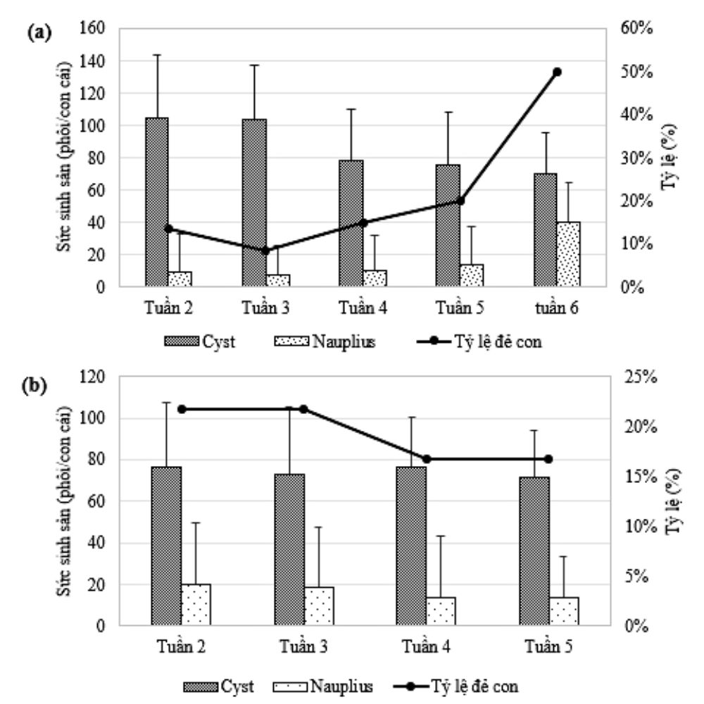 Số lượng trung bình phôi cysts và phôi nauplius 