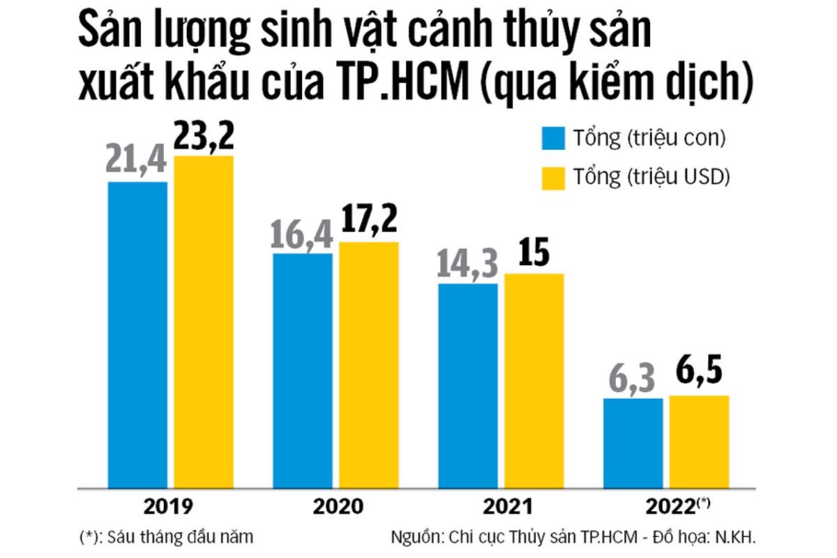 Sản lượng sinh vật cảnh thuỷ sản xuất khẩu của TPHCM