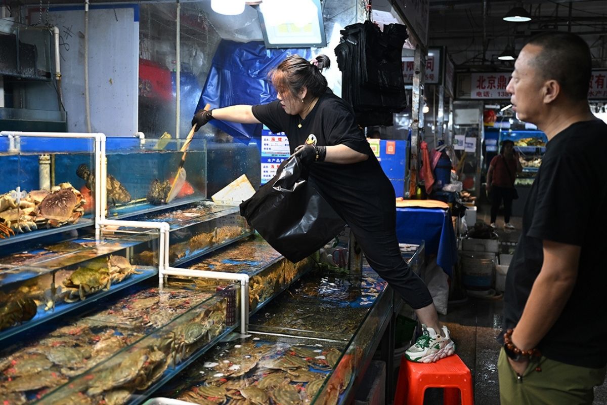 Chợ hải sản