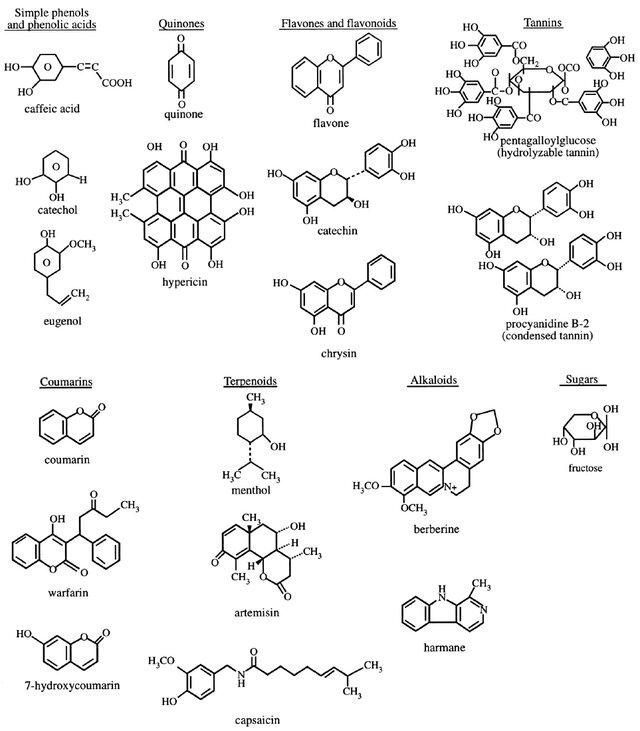 Cấu trúc hóa học