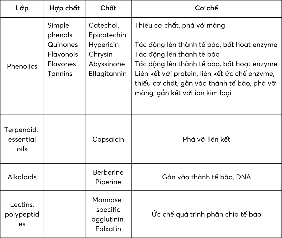 Cơ chế diệt khuẩn