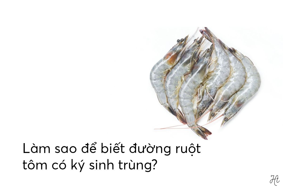 Làm sao để sổ ký sinh trùng