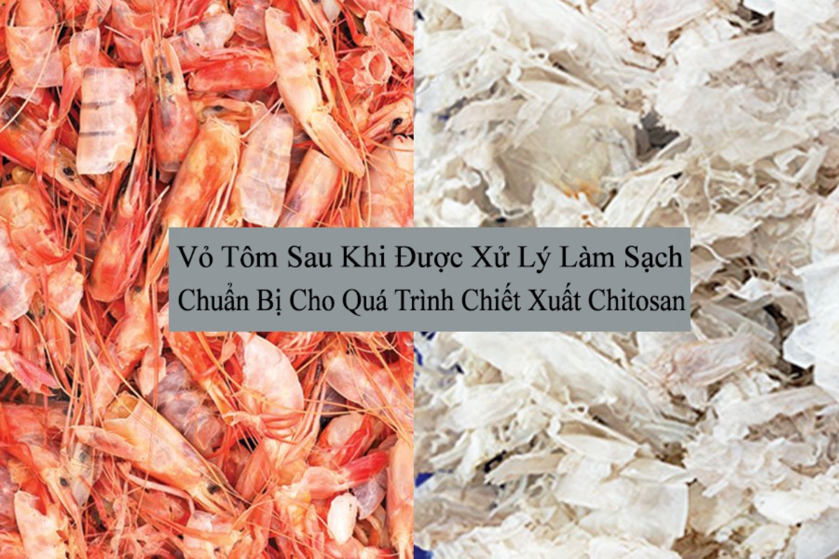 Chiết xuất vỏ tôm