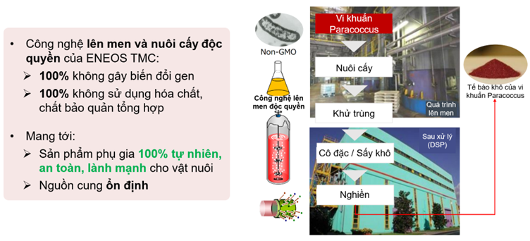 Công nghệ lên men và nuôi cấy độc quyền của ENEOS TMC