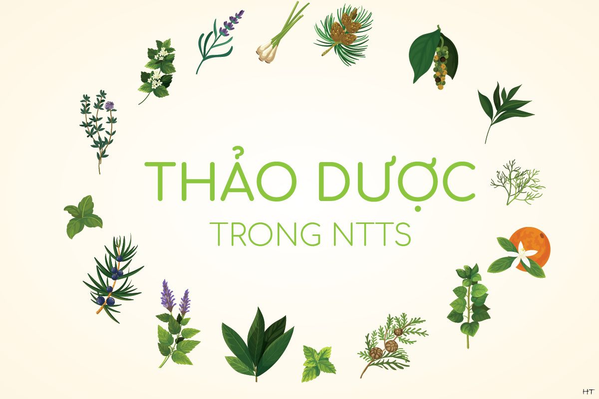 Thảo dược