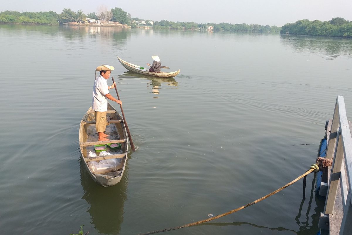 Thả giống