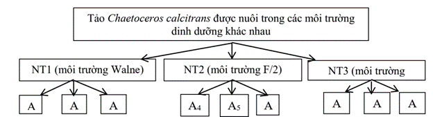 Hình 1