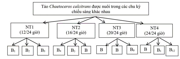 Hình 1