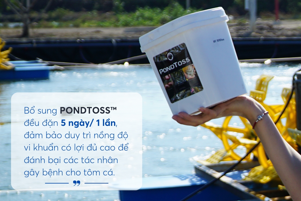 PondToss™ 