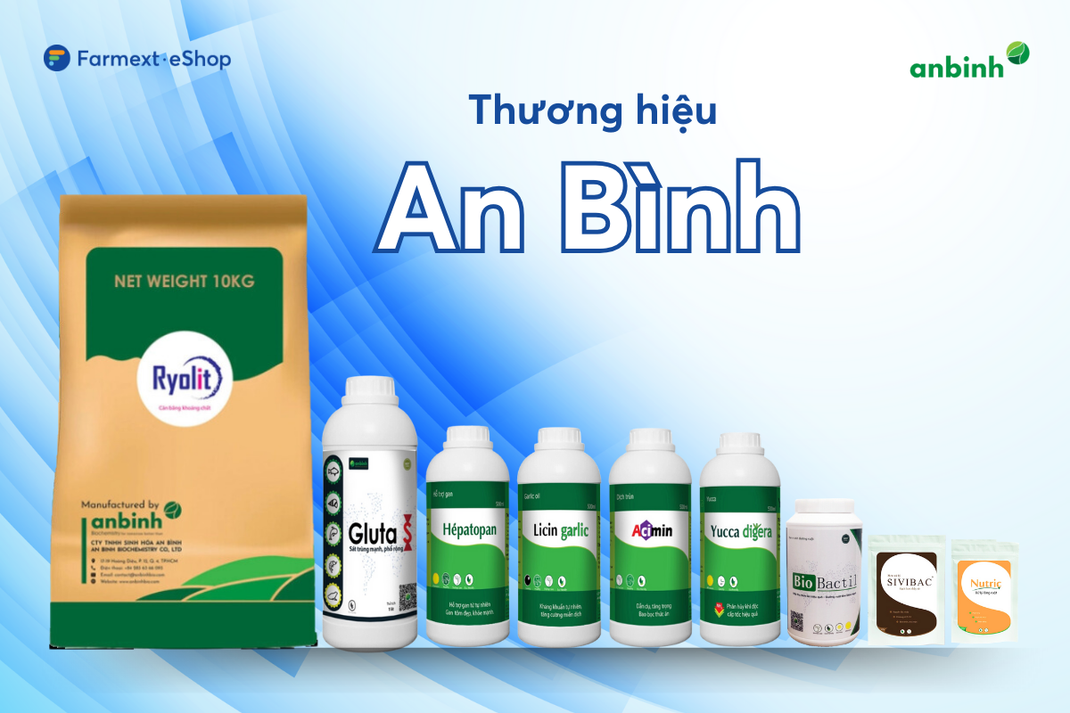 Thương hiệu An Bình 