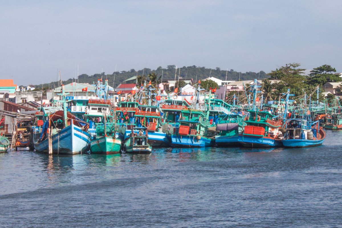 Tàu cá Việt Nam