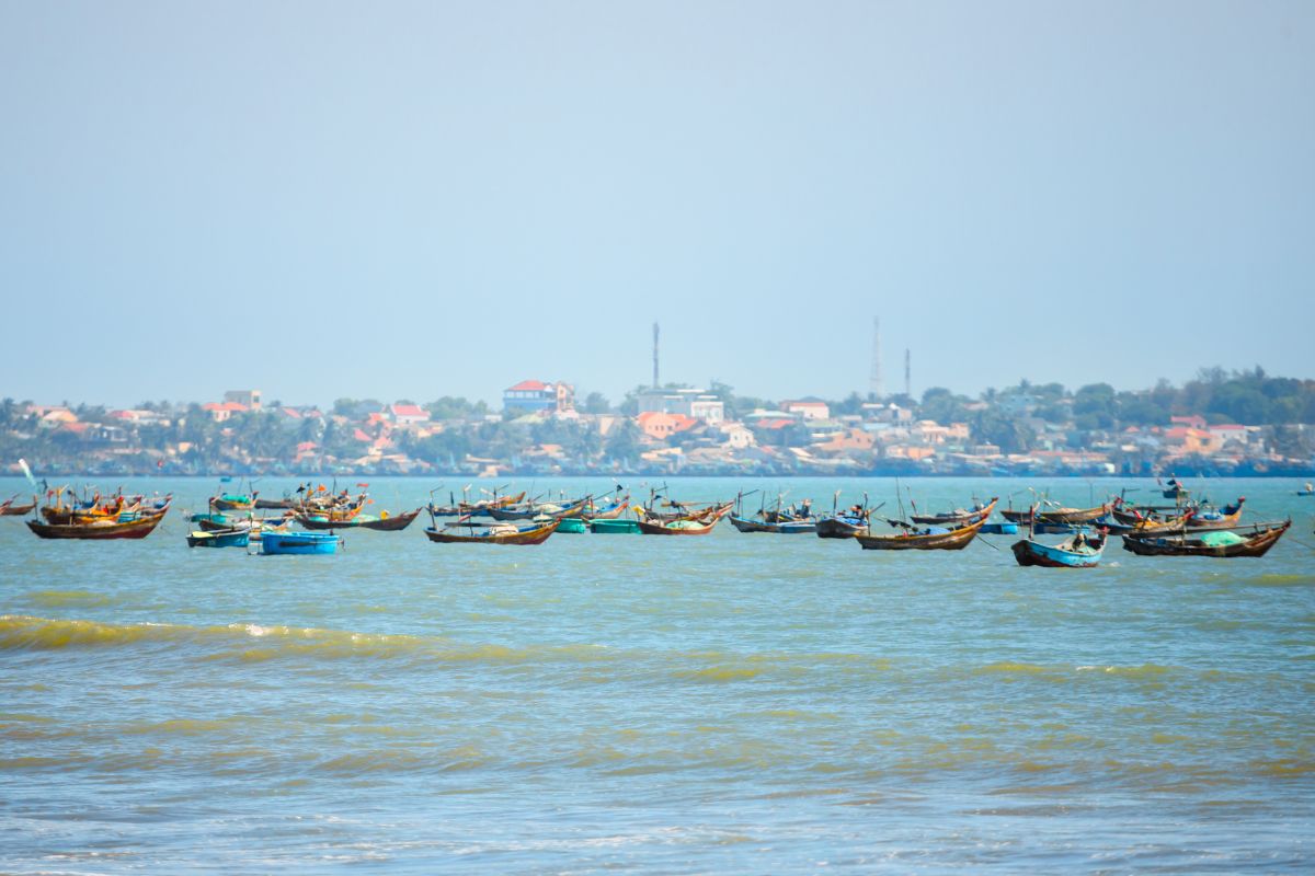 Tàu cá Việt Nam