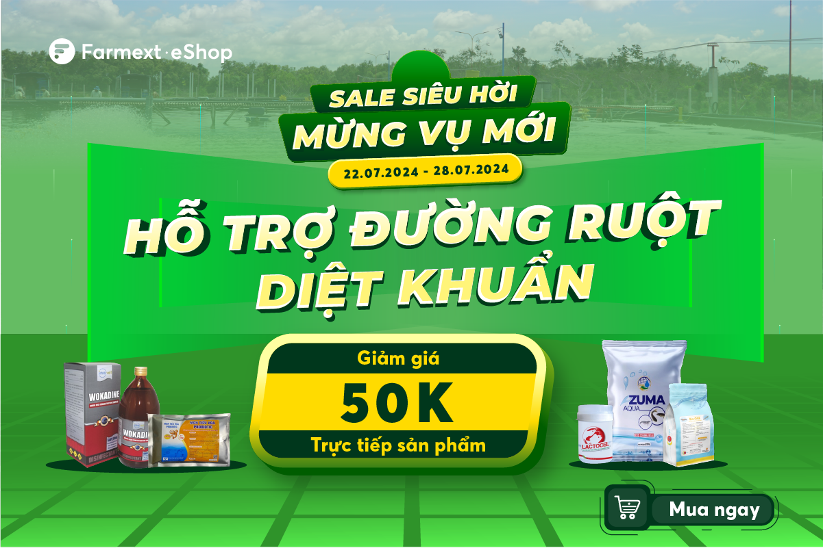 Sản phẩm hỗ trợ đường ruột