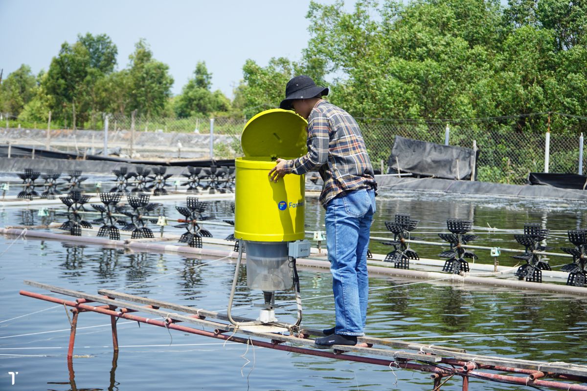 Máy cho ăn tự động Farmext