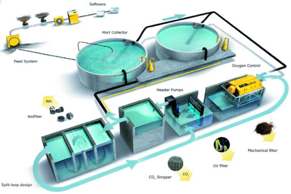 RAS system