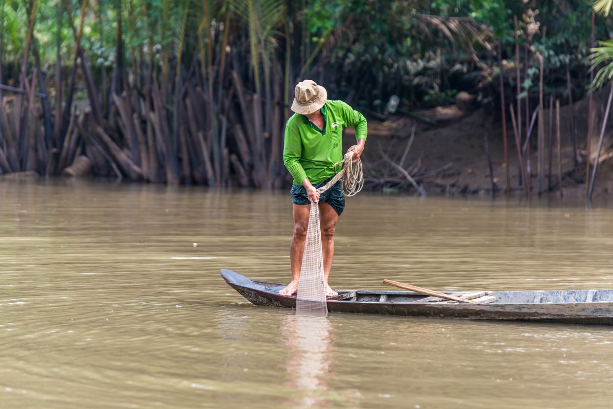 Chài cá