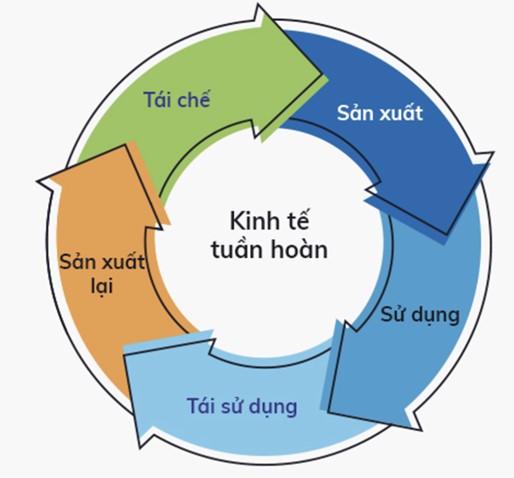 Kinh tế tuần hoàn