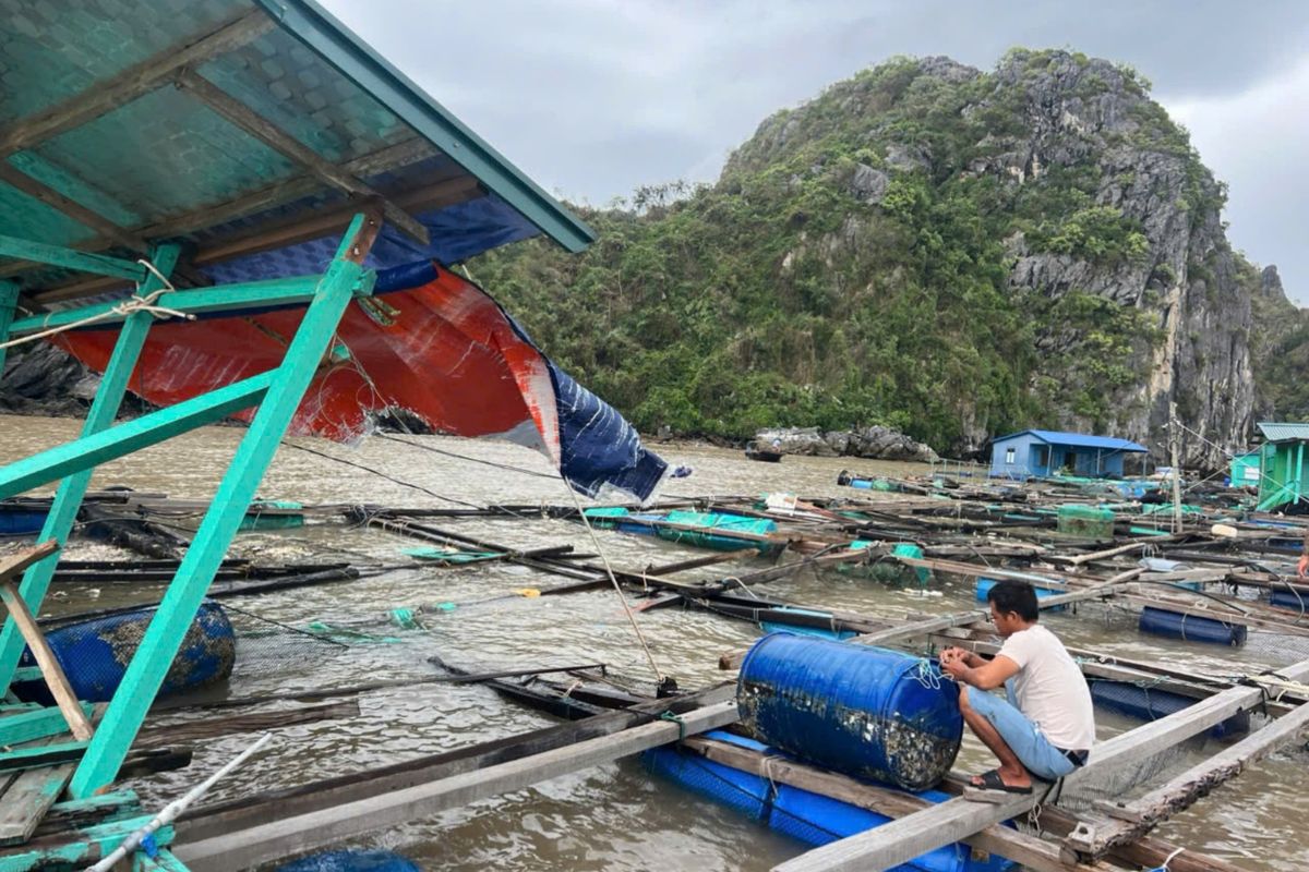 Cá lồng bè