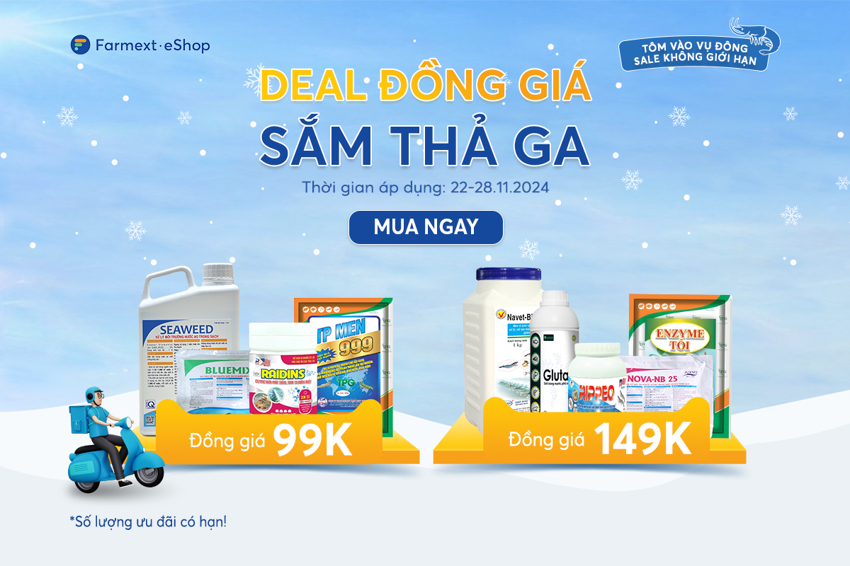 Deal đồng giá