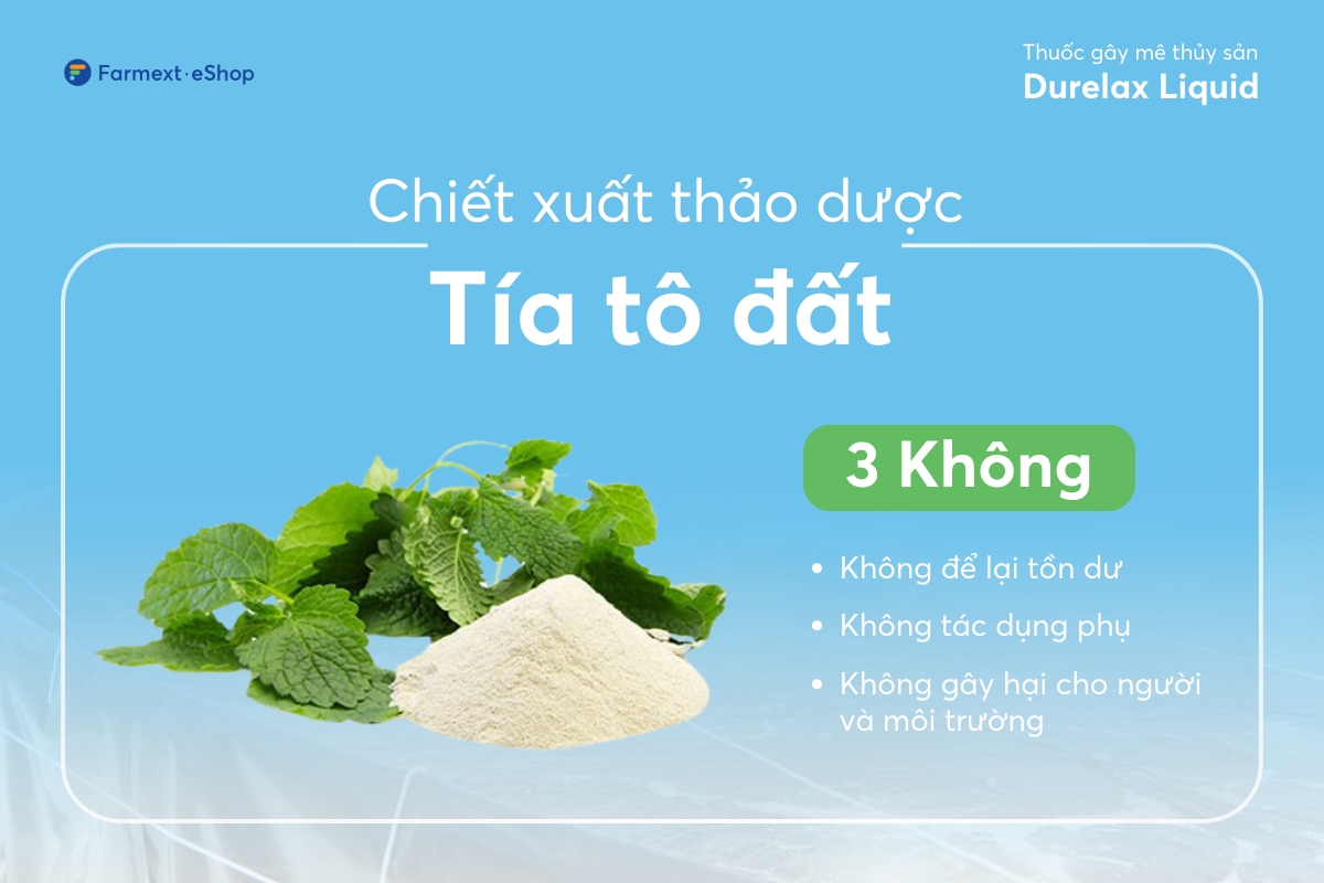 Tía tô đất