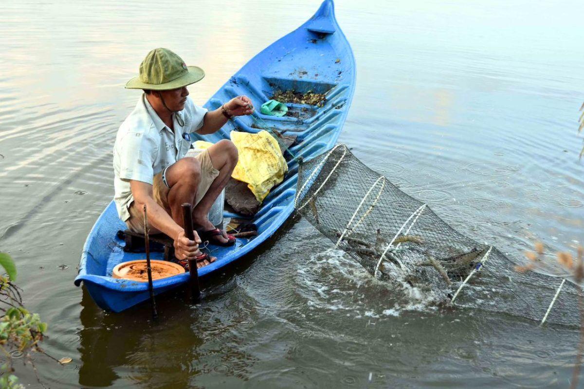 Nuôi quảng canh