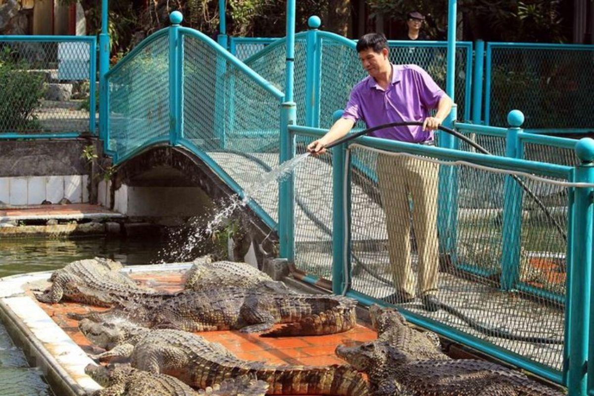 Sự bấp bênh của ngành công nghiệp đặc thù