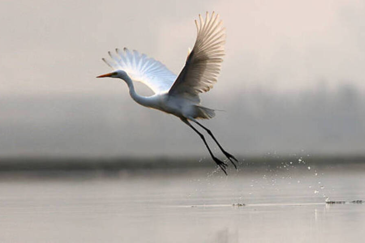 Không tặc có cánh là mối đe doạ khôn lường