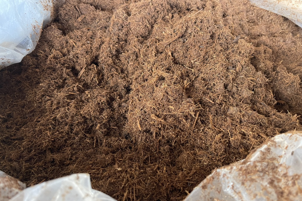 Ví dụ về bã mía lên men