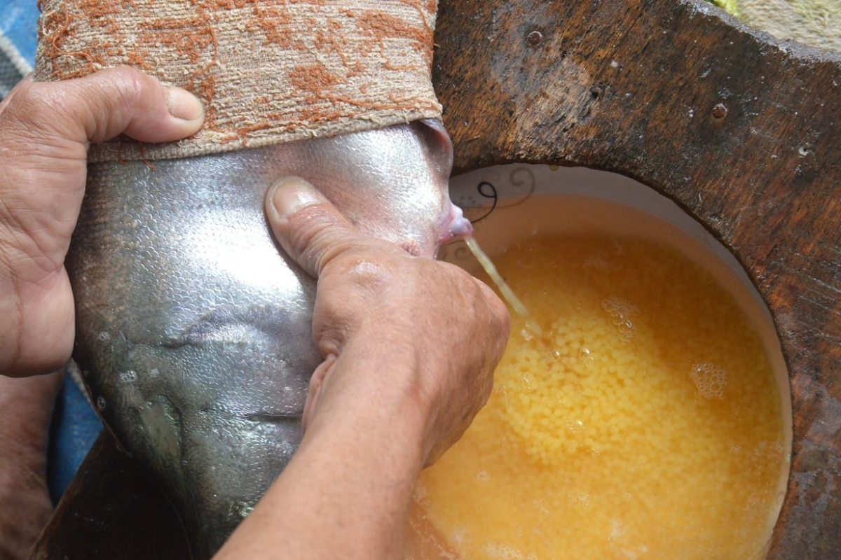 Mỗi động tác vuốt trứng đều cần sự tỉ mỉ và chính xác