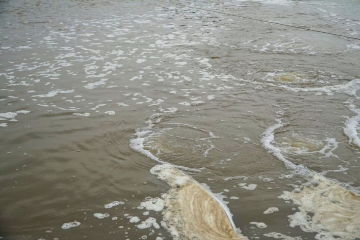 Người nuôi cần tập trung vào việc si-phông đáy ao thường xuyên để loại bỏ chất thải