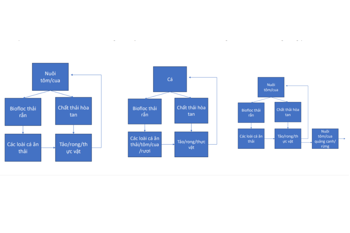 Nguyên lý của các mô hình ứng dụng RAS-IMTA 