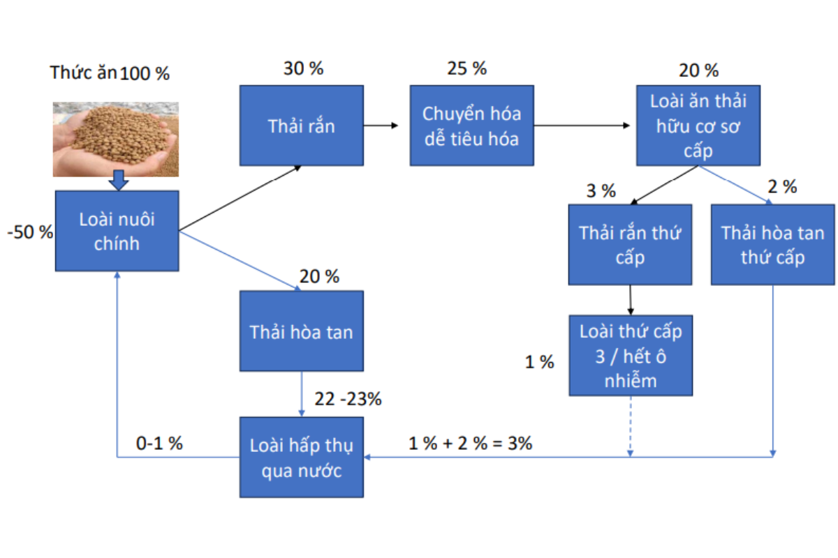 Nguyên lý của công nghệ RAS-IMTA 