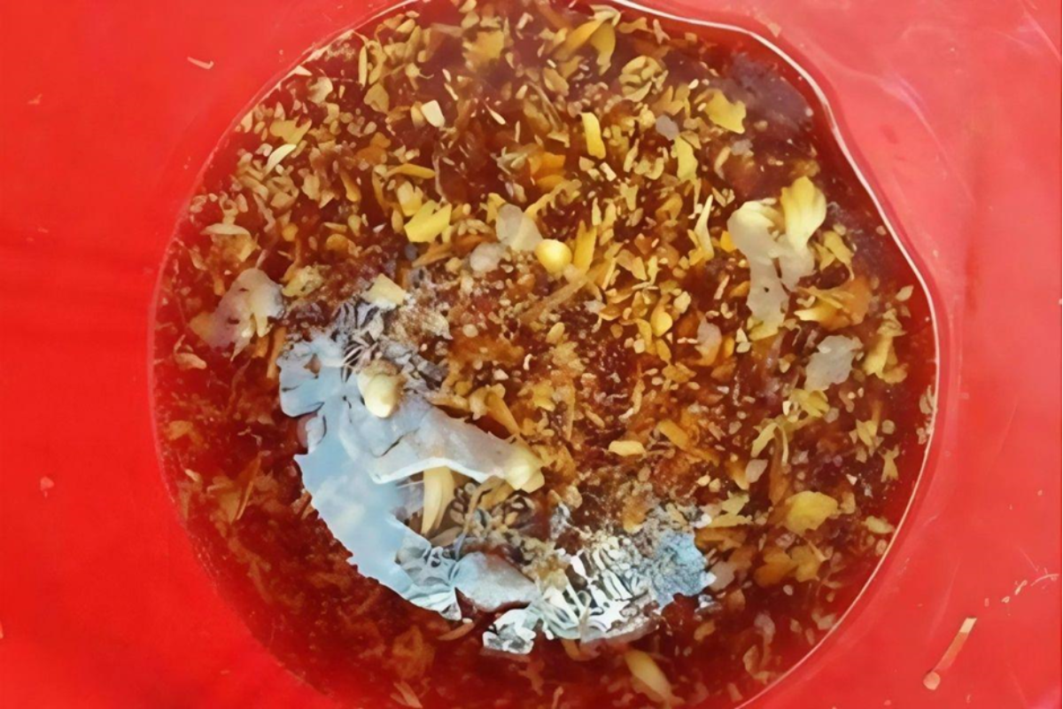 Tỏi băm – giải pháp tự nhiên tăng sức đề kháng cho tôm