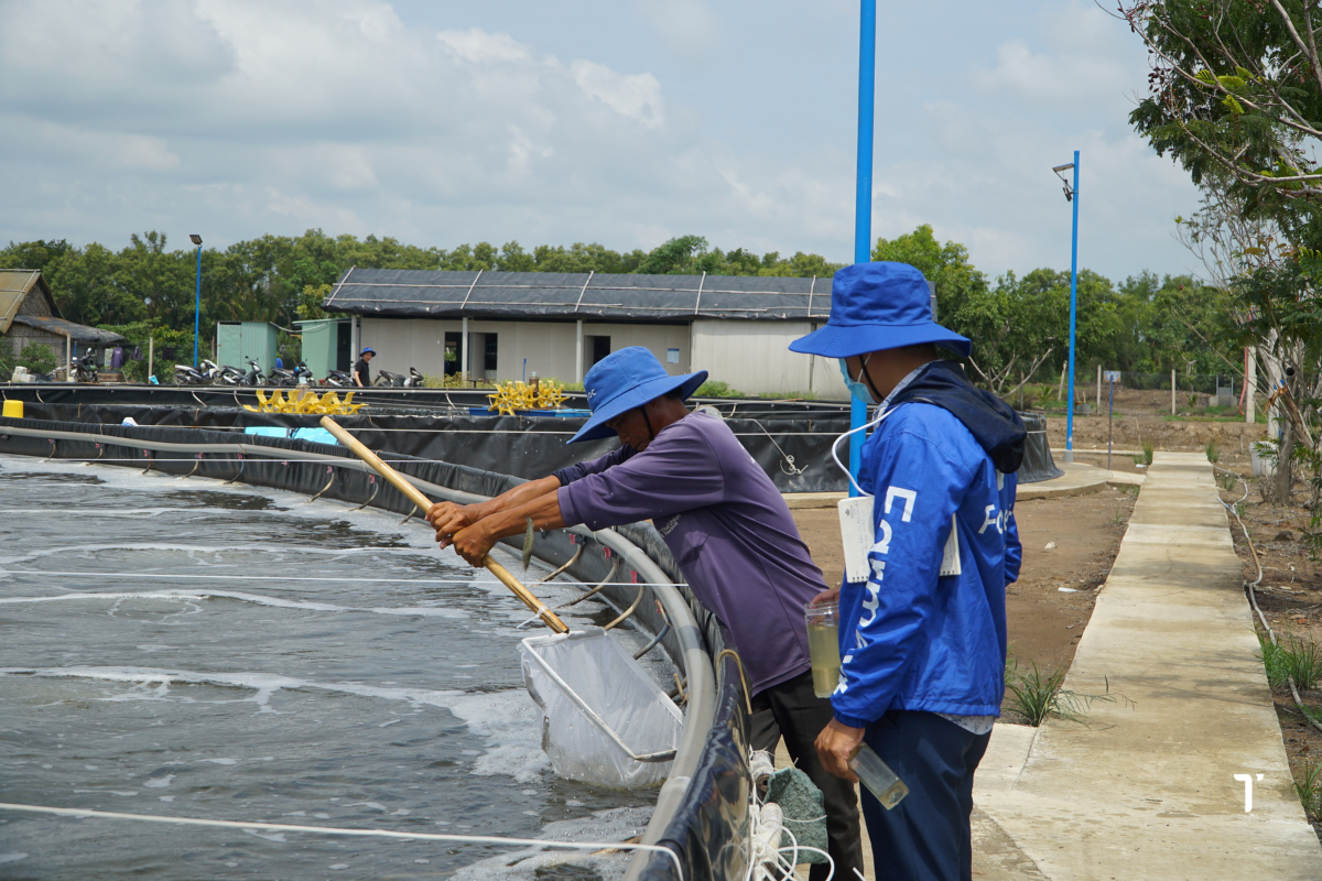Các bộ dụng cụ kiểm tra vi khuẩn tại chỗ giúp người nuôi có kết quả chẩn đoán sơ bộ